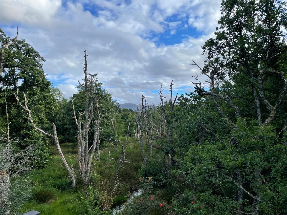 Silver Birch Lodge Aviemore Εξωτερικό φωτογραφία